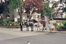 A horse & carriage arrives for guests from the Yves-Lynn Horse & Carriage Company
