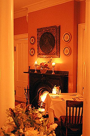 Vienna's dining room in equipped with a lovely woodburing fireplace
